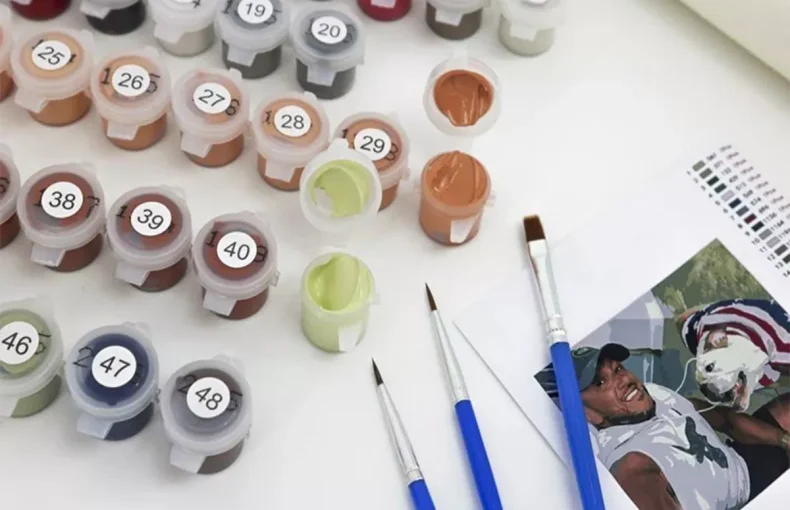 Custom Paint by Numbers Guide Things You Should Know