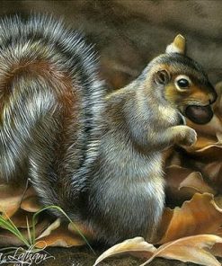 Grey Squirrel paint by numbers