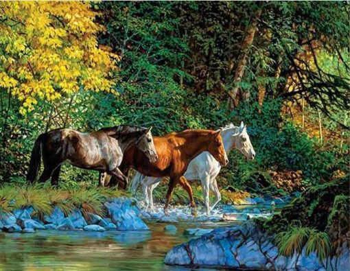 Group of Horses Cross the river paint by numbers