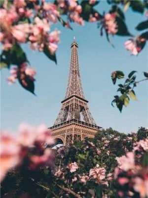 Paris Eiffel Tower In Spring paint by numbers