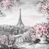 Paris Flowers in Black and Pink paint by numbers