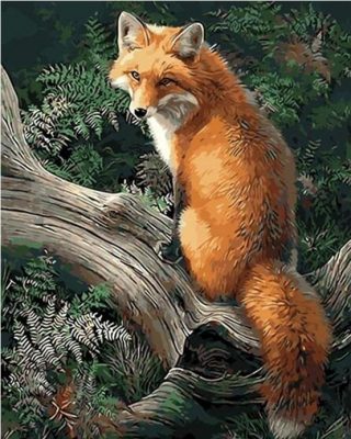 Fox Animals Kits Modern Wall Art Canvas - DIY Paint By Numbers - Numeral Paint