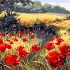 Red Poppy Flowers Field paint by numbers