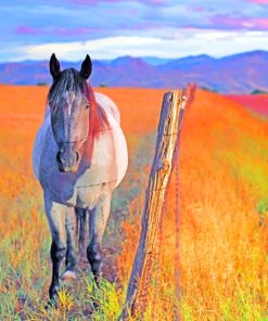 Horse In Field paint by numbers