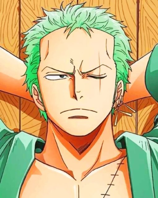 One Piece Zoro paint by numbers