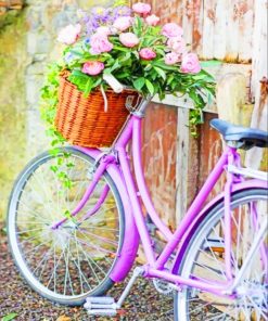 vintage bike with flower basket paint by numbers