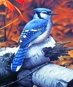 Blue Jay paint by numbers