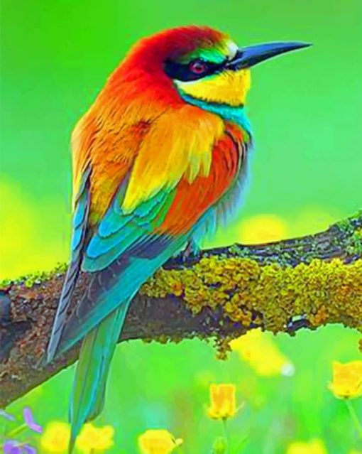 Colorful Bird Paint by numbers