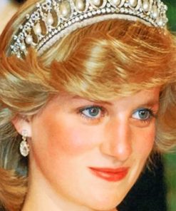 Princess Diana paint by numbers