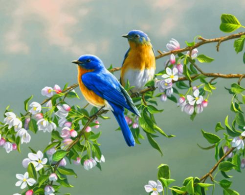 Spring Bluebirds paint by number