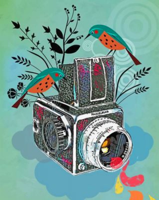 Bird And Camera Illustration paint by numbers