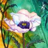 White Poppy Art paint by numbers