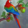 Apples And Parrot paint by nbumbers