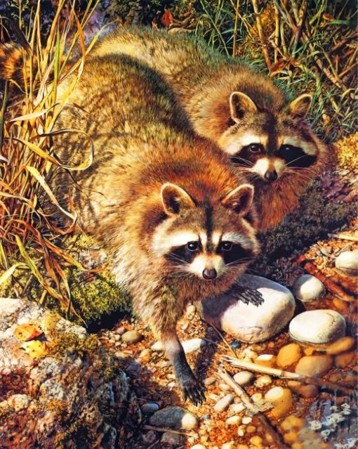 cute-raccoons-paint-by-numbers