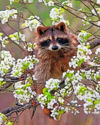 Raccoon In Blossoms Paint by numbers