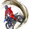 Motorcycle Driver Art Paint by numbers