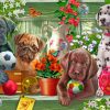 Puppies dog paint by numbers