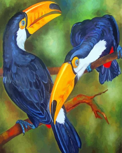 Toucans Birds Paint by numbers