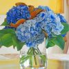 hydrangea-blur-flower-paint-by-numbers