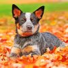 Blue Heeler Dog Paint By Number