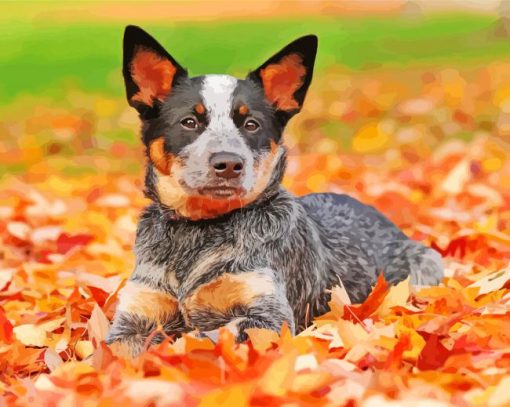 Blue Heeler Dog Paint By Number