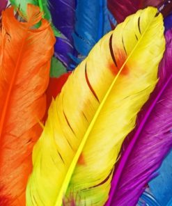 Colorful Feathers Paint By Number