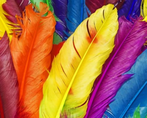 Colorful Feathers Paint By Number