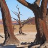 Dead Tree Desert Paint By Number