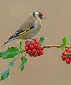 Goldfinch Bird Paint By Number