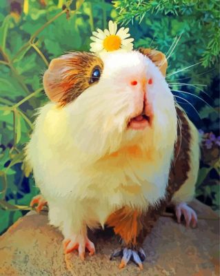 Guinea Pig And Flower Paint By Number