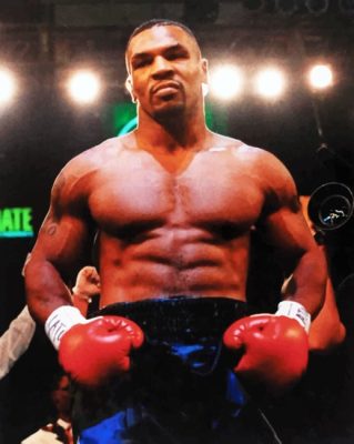 Mike Tyson Paint By Numbers