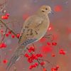 Mourning Dove Paint By Number