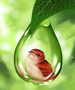 Bird In Bubble Drop Of Water Paint By Numbers