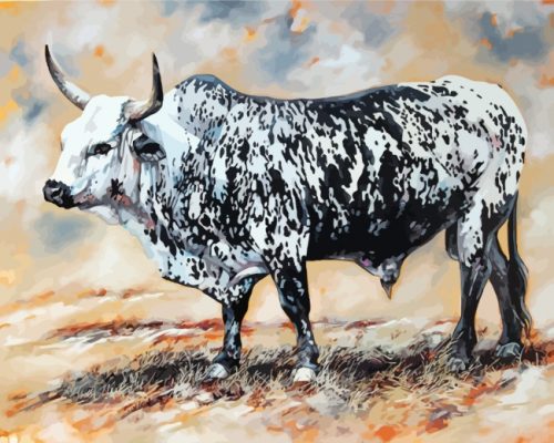 Black And White Nguni Paint by numbers