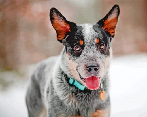 Blue Heeler Dog Breed Paint By Numbers