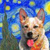 Red Heeler Starry Night Paint By Numbers