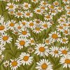 Daisy Field Paint By Numbers