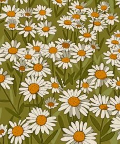 Daisy Field Paint By Numbers