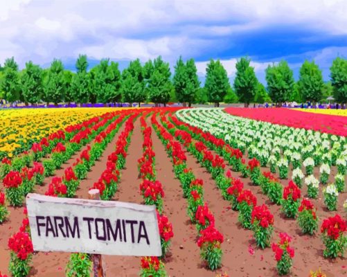 Farm Tomita Paint By Number