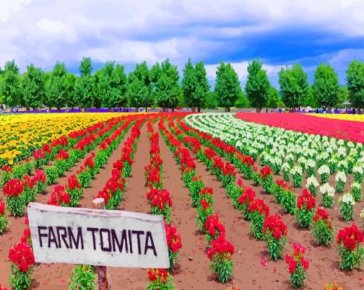 Farm Tomita Paint By Number