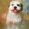 Fluffy Shih Tzu Paint By Number