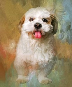 Fluffy Shih Tzu Paint By Number