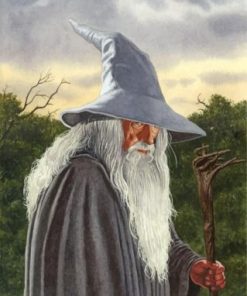 Gandalf Lord Of The Rings Paint by numbers