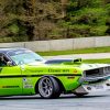 Green Dodge Charger Paint By Number