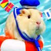 Guinea Pig Sailor Paint By Number