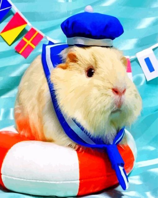 Guinea Pig Sailor Paint By Number