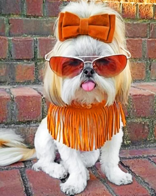 stylish-shih-tzu-paint-by-number