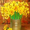 Wild Daffodil paint by numbers