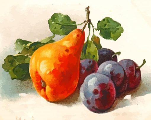 Pears Fruit Paint By Numbers