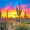 Sunset Saguaro National Park Tucson paint by numbers